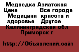 Медведка Азиатская › Цена ­ 1 800 - Все города Медицина, красота и здоровье » Другое   . Калининградская обл.,Приморск г.